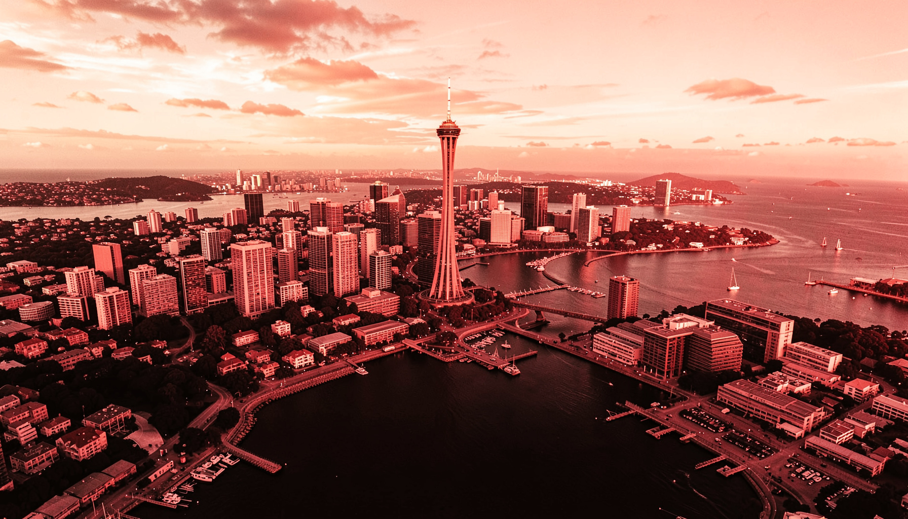 Aerial view of Auckland's city skyline with the Sky Tower rising above the harbour, bathed in warm golden late-afternoon light under a partly cloudy sky